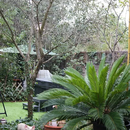 Appartement Le Trianon *